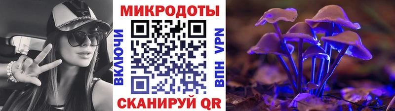 Галлюциногенные грибы Psilocybine cubensis  Купить где  Моршанск 